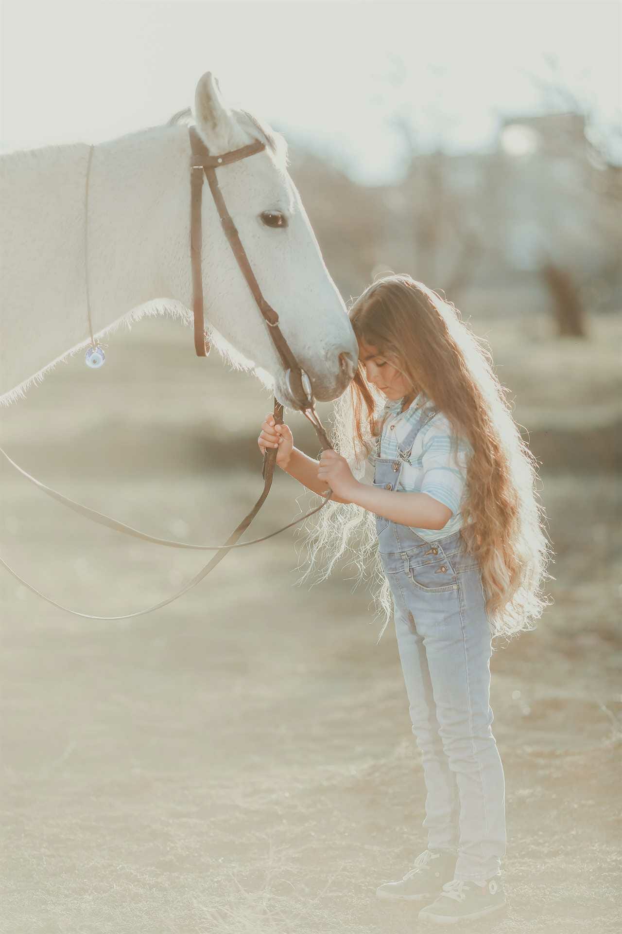 A little girl petting a white horse.