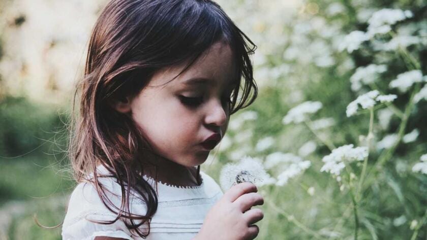 A little girl blowing a dandelion in a field.