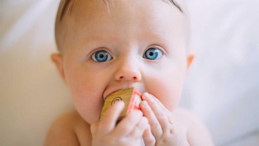 A baby with blue eyes eating a cookie.