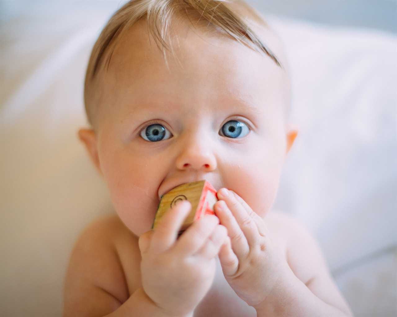 A baby with blue eyes eating a cookie.