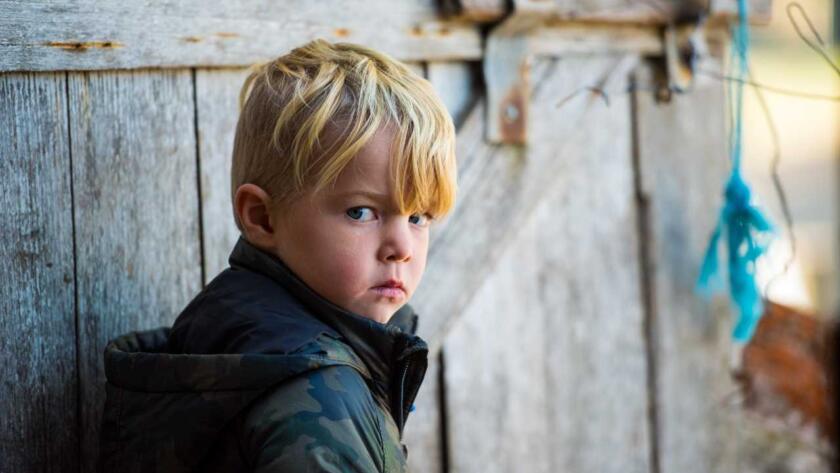 A young boy leaning against a wooden fence.