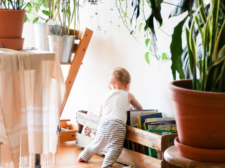 A baby is playing on the floor next to a potted plant.